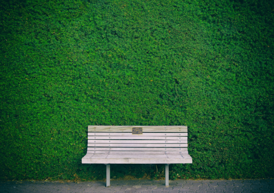 empty wooden bench