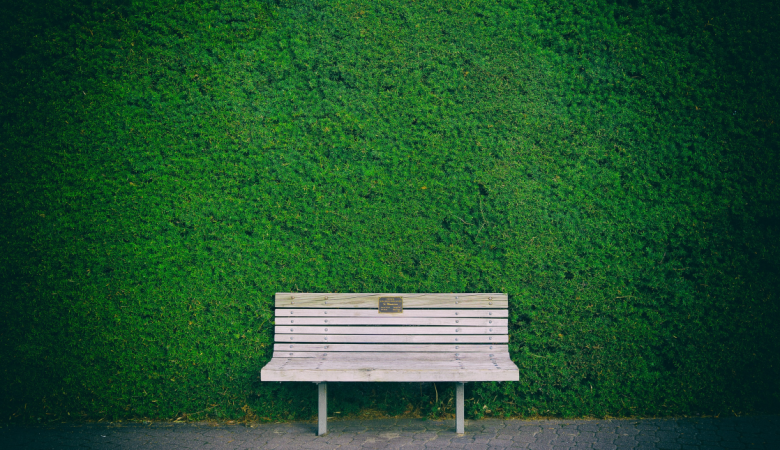 empty wooden bench